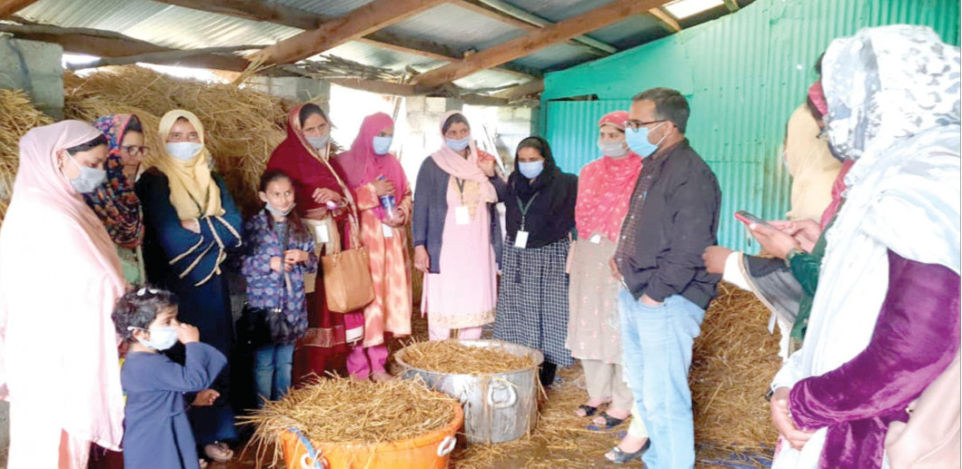 Vestaun Sowing SEEDS of prosperity1