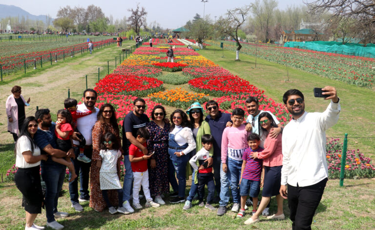 Tulip garden opened for general public 10