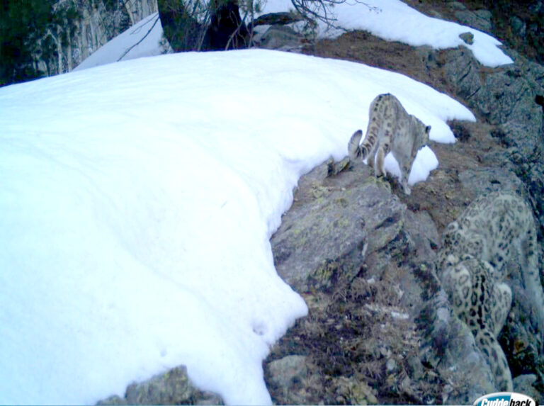 PIX SIZE FOR WEB 1