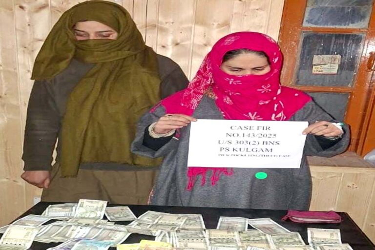 Police arrests Pickpocket in Kulgam; Recovered stolen cash from her possession